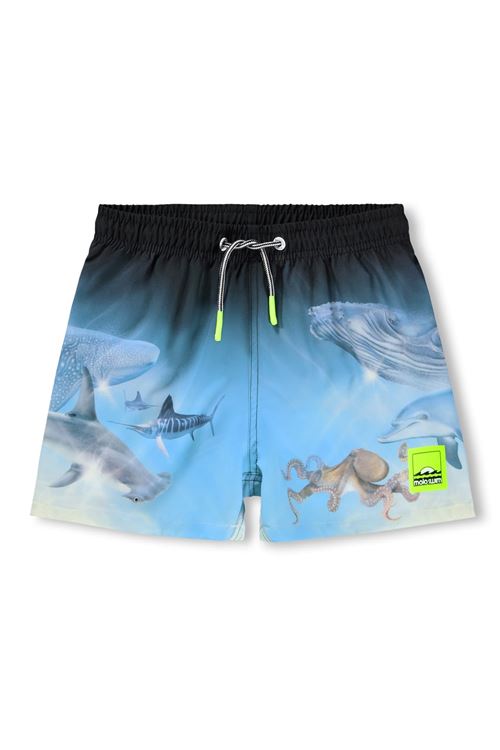  MOLO | 8S26P4025213AIR BRUSH DEEP